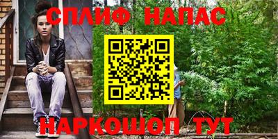 спиды Бердск