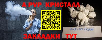 спиды Бердск