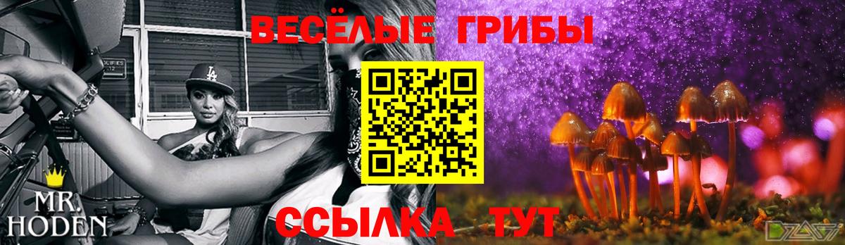 Амурск  Псилоцибиновые грибы Psilocybe  Вход с VPN 